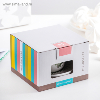 Набор керамический чайный с ложкой «Ботаника», 2 предмета: чашка 200 мл, блюдце, цвет МИКС Набор керамический чайный с ложкой «Ботаника», 2 предмета: чашка 200 мл, блюдце, цвет МИКС