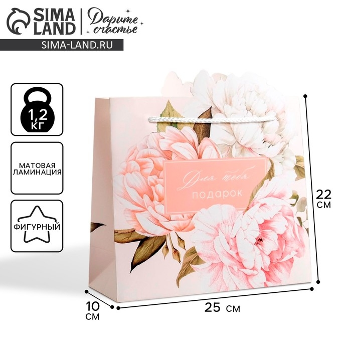 Пакет подарочный, упаковка, &laquo;Для тебя подарок&raquo;, 25 х 26 х 10 см