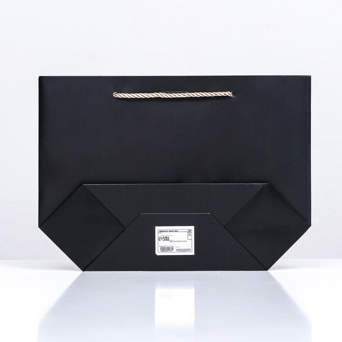 Пакет подарочный ламинированный, с лентой &laquo;Чёрный&raquo;, горизонтальный 19&times;20&times;9 см