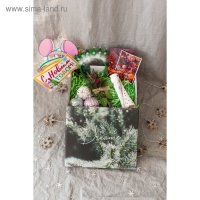 Коробка подарочная новогодняя складная &laquo;Dreams&raquo;, 31,2 х 25,6 х 16,1 см, Новый год