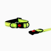 Ошейник с подкладом из нейлона с фастексом 2 см, ОШ 27-40 см, зелёный Ошейник с подкладом из нейлона с фастексом 2 см, ОШ 27-40 см, зелёный