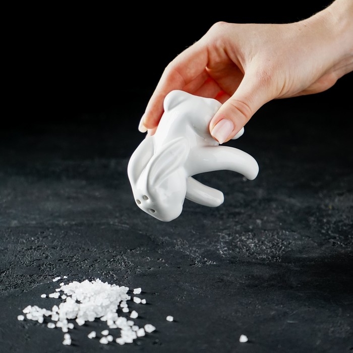 Набор для специй Доляна &laquo;Зайка&raquo;, 2 предмета: солонка 50 мл, перечница 40 мл, цвет белый