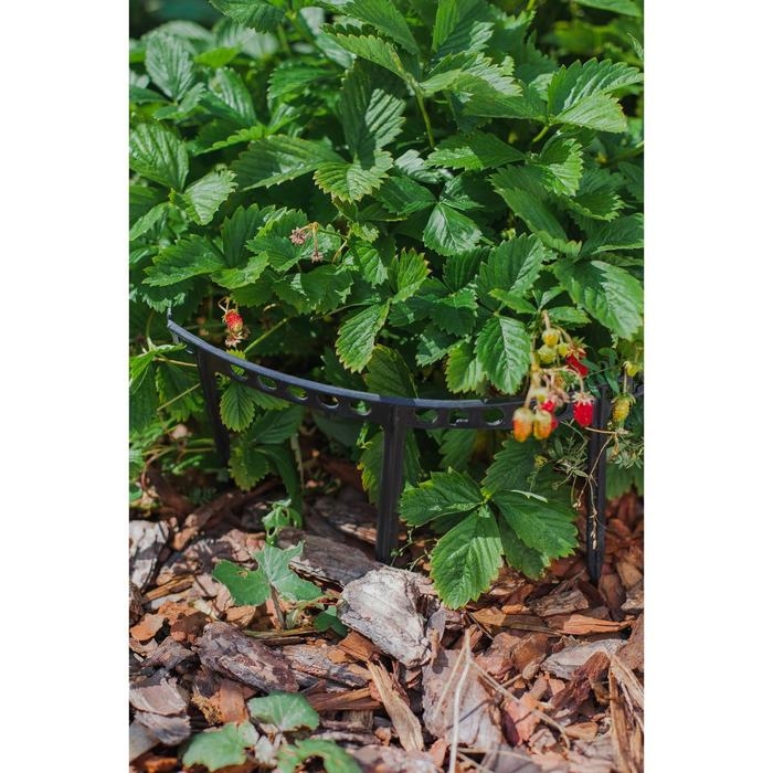 Кустодержатель для клубники, d = 11 см, пластик, набор 10 шт., цвет МИКС Кустодержатель для клубники, d = 11 см, пластик, набор 10 шт., цвет МИКС