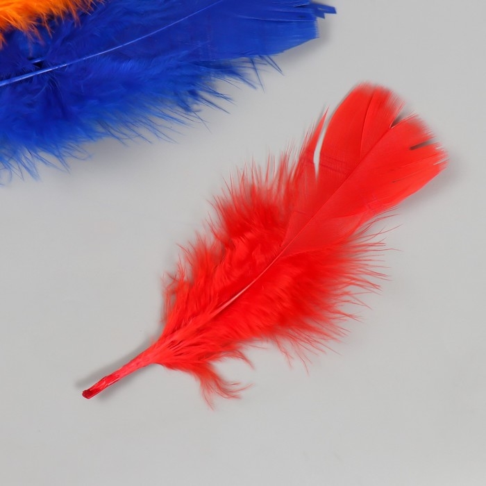 Перо декоративное гусиное Перо декоративное гусиное "Веер" набор 30 шт h=10-15 см
