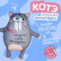 Игрушка-антистресс &laquo;Возьми меня на ручки&raquo;, кот