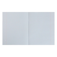 Комплект тетрадей из 5 штук, 48 листов в клетку Calligrata "Котята", обложка мелованный картон, блок офсет