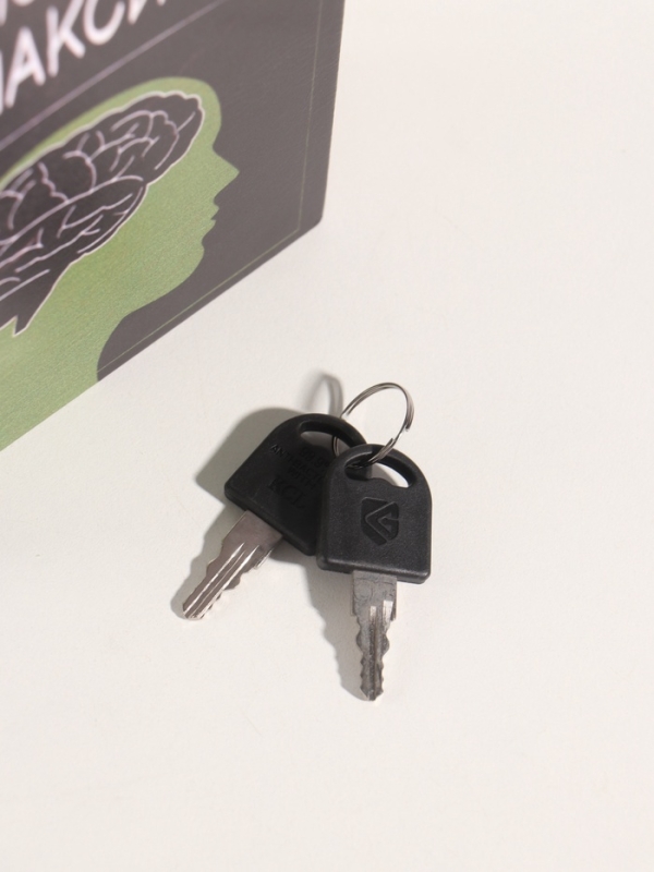 Сейф-книга дерево кожзам "Саморазвитие" 21х13х5 см