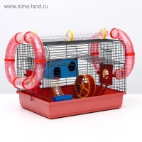Клетка для грызунов "Хома 4", 55 x 37 x 42 см, микс цветов Клетка для грызунов "Хома 4", 55 x 37 x 42 см, микс цветов