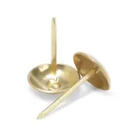 Гвозди ТУНДРА, декоративные, обивочные, 10&times;18.5 мм, золото, 100 шт.