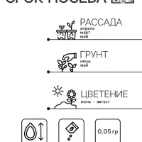 Семена Дельфиниум &laquo;Белый&raquo;, цветной пакет, 0.05 г