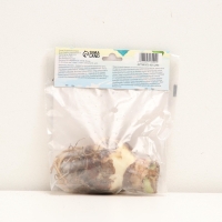 Амариллис Samba, многолетник, луковица, р-р 22/24, 1 шт.