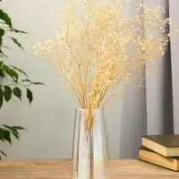 Ваза стекло настольная "Кэнди" 22х9х6,5 см, прозрачный