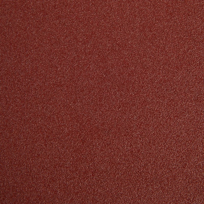 Круг абразивный шлифовальный под Круг абразивный шлифовальный под "липучку" ТУНДРА, 180 мм, Р100, 5 шт.