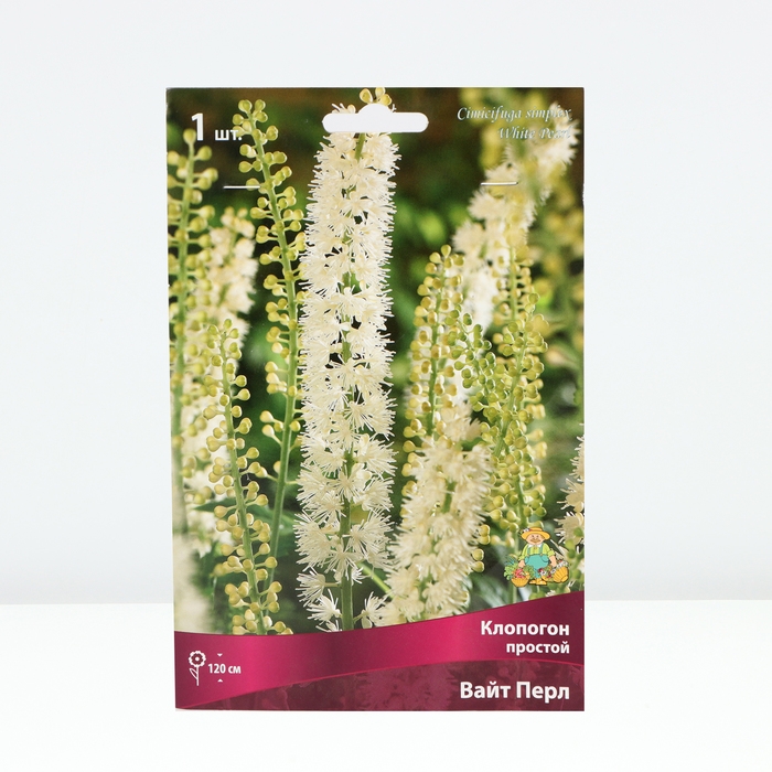 Клопогон простой Вайт Пёрл, р-р I, 1 шт, Весна 2025 Клопогон простой Вайт Пёрл, р-р I, 1 шт, Весна 2025