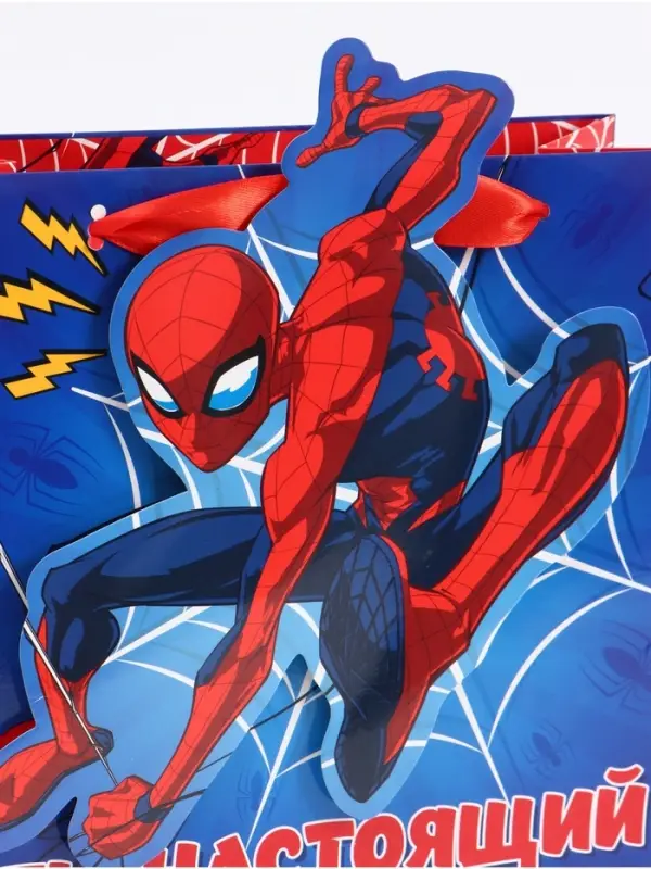 Пакет подарочный &laquo;Супергерой&raquo;, 22 &times; 22 &times; 10 см
