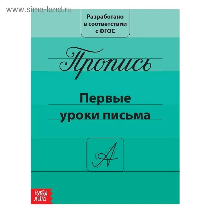 Прописи &laquo;Первые уроки письма&raquo;, 20 стр.