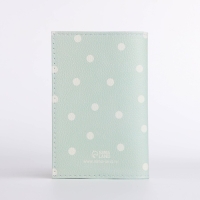 Обложка для паспорта, цвет мятный