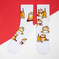 Носки женские новогодние KAFTAN "Рыжий кот" размер 36-40 (23-25 см)