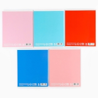 Тетрадь в клетку, 48 листов А5 на скрепке , внутренний блок №1 МИКС &laquo;1 сентября: Истинная любовь&raquo; ВД лак