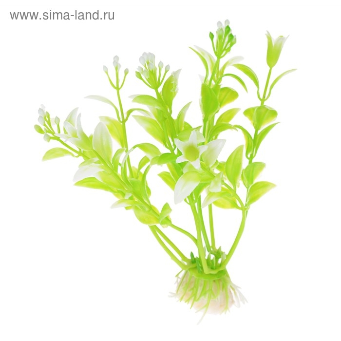 Набор растений искусственных для аквариума (2 шт), 12 см Набор растений искусственных для аквариума (2 шт), 12 см