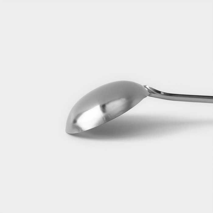 Половник из нержавеющей стали Доляна &laquo;Стандарт&raquo;, 100 мл, h=31 см, цвет серебряный