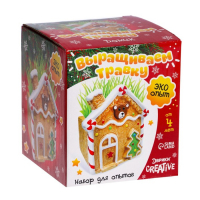 Набор для опытов &laquo;Выращиваем травку: Домик&raquo;, с семенами