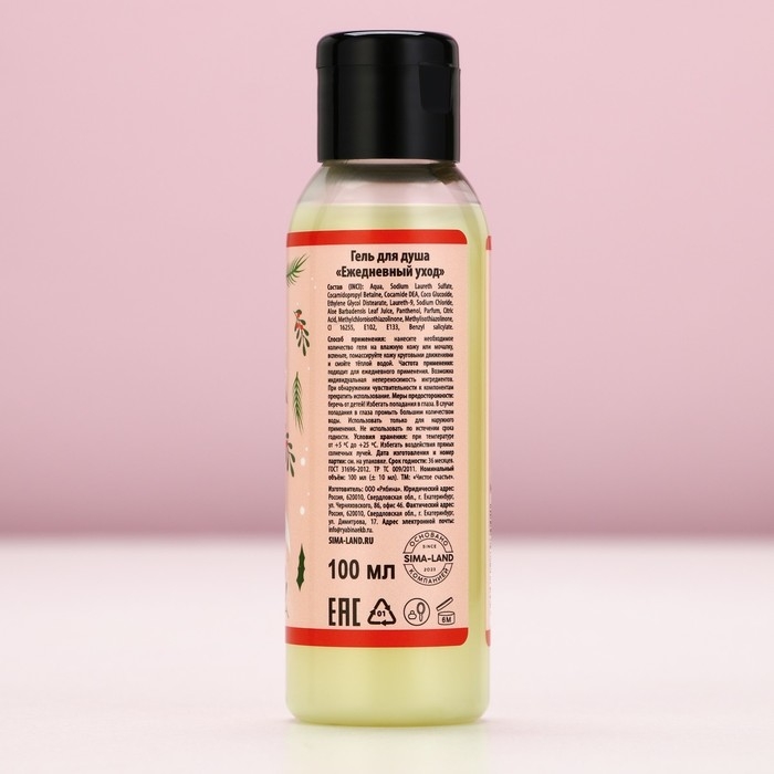 Подарочный набор косметики &laquo;С Новым Годом&raquo;, гель для душа 100 мл и соль для ванны 100 г, аромат пряного цитруса, ЧИСТОЕ СЧАСТЬЕ