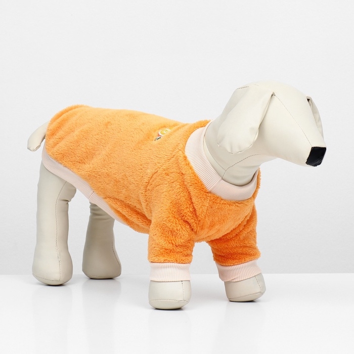 Свитер Свитер "Мандарин", велюр, размер XL (ДС 40, ОШ 33, ОГ 50 см), оранжевый