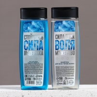 Подарочный набор косметики новогодний &laquo;Твои возможности безграничны&raquo;, гель для душа и шампунь для волос , 2 х 250 мл, Новый Год