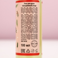 Подарочный набор косметики &laquo;С Новым Годом&raquo;, гель для душа 100 мл и соль для ванны 100 г, аромат пряного цитруса, ЧИСТОЕ СЧАСТЬЕ