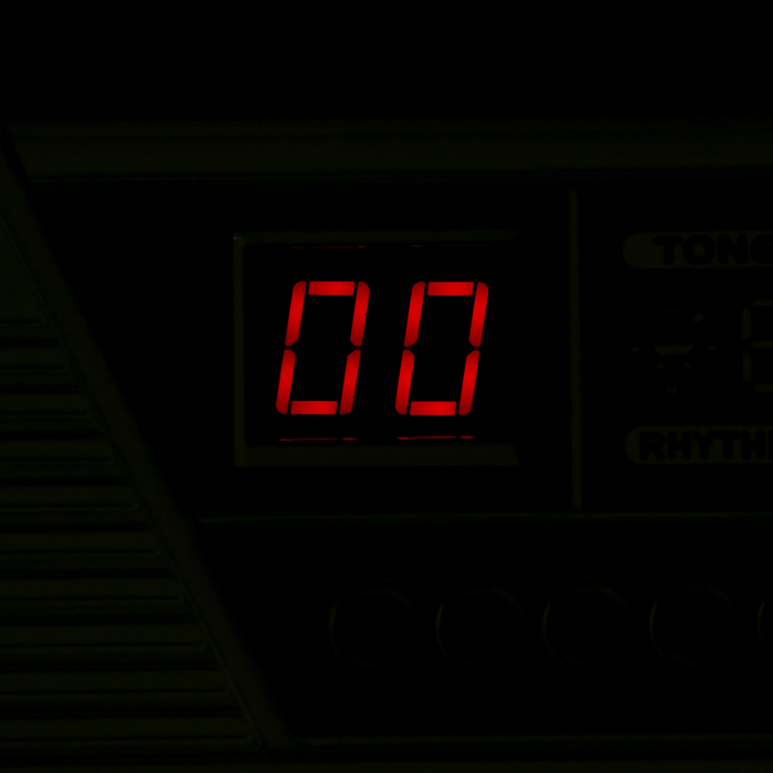 Синтезатор &laquo;Музыкант&raquo; с микрофоном, 49 клавиш, работает от сети и от батареек