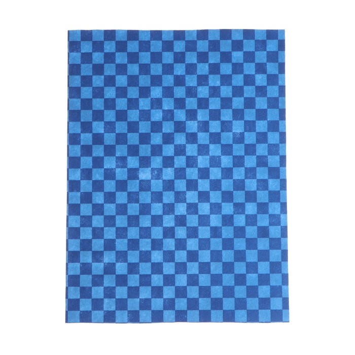 Коврики влаговпитывающие AVS VK-04, 50 х 38 см, набор 2 шт Коврики влаговпитывающие AVS VK-04, 50 х 38 см, набор 2 шт