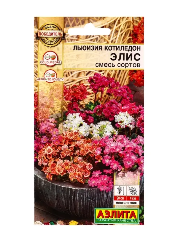 Семена цветов Льюизия котиледон Элис, смесь сортов  Победитель.Выбор экспертов, Ц/П,5 шт.