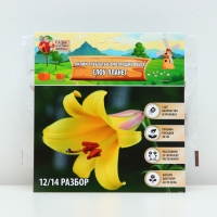 Лилии Трубчатые смотрящие вверх Yellow Planet, луковица в пакете с перфорацией, р-р 12/14, 2 шт.