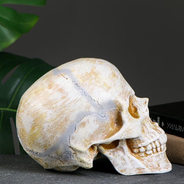 Копилка Копилка "Череп" кость, 16х13х22см