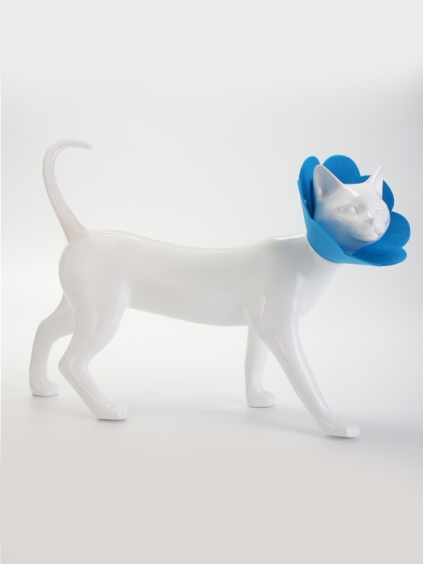 Ветеринарный воротник из фетра "Ромашка", размер L, синий