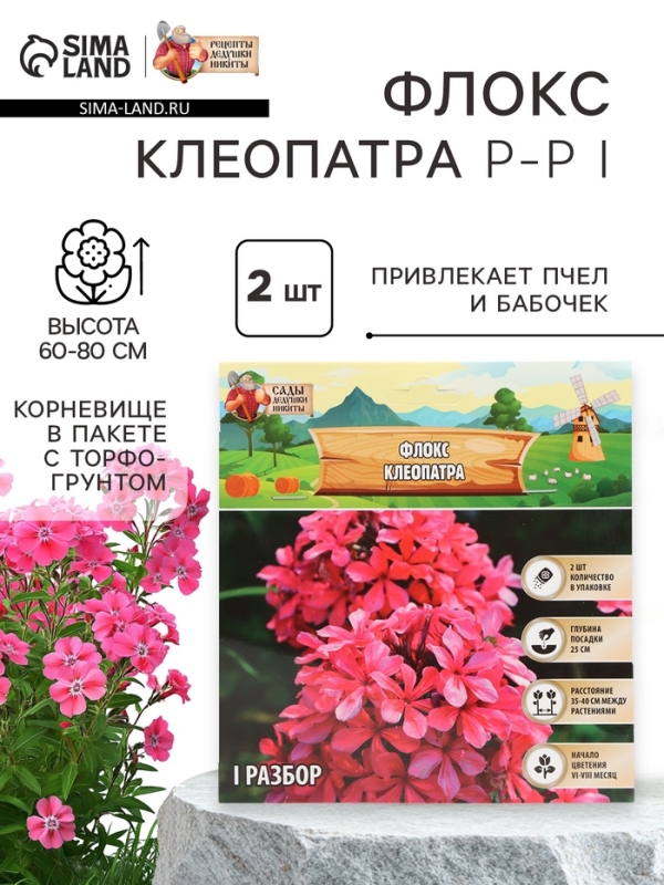 Флокс &laquo;Клеопатра&raquo; корневище в пакете с торфогрунтом, р-р I, 2 шт.