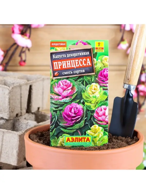 Набор семян Капуста декоративная "Принцесса", смесь окрасок, О, 5 шт.