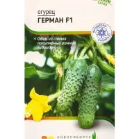 Семена Огурец "Герман" F1 5 шт