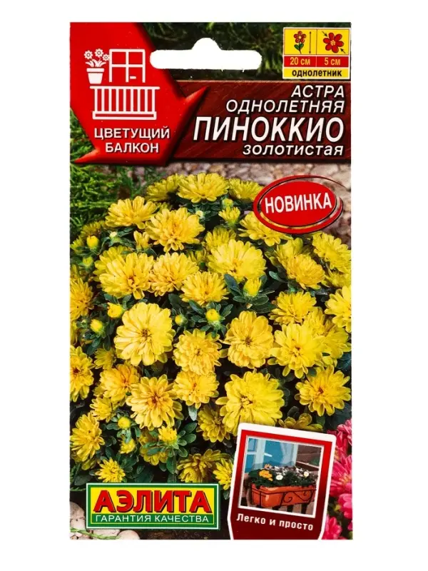 Семена цветов Астра Пиноккио золотистая  Цветущий балкон, Ц/П,0,05 г