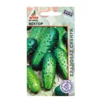 Семена Огурец"Вектор"10шт* КС