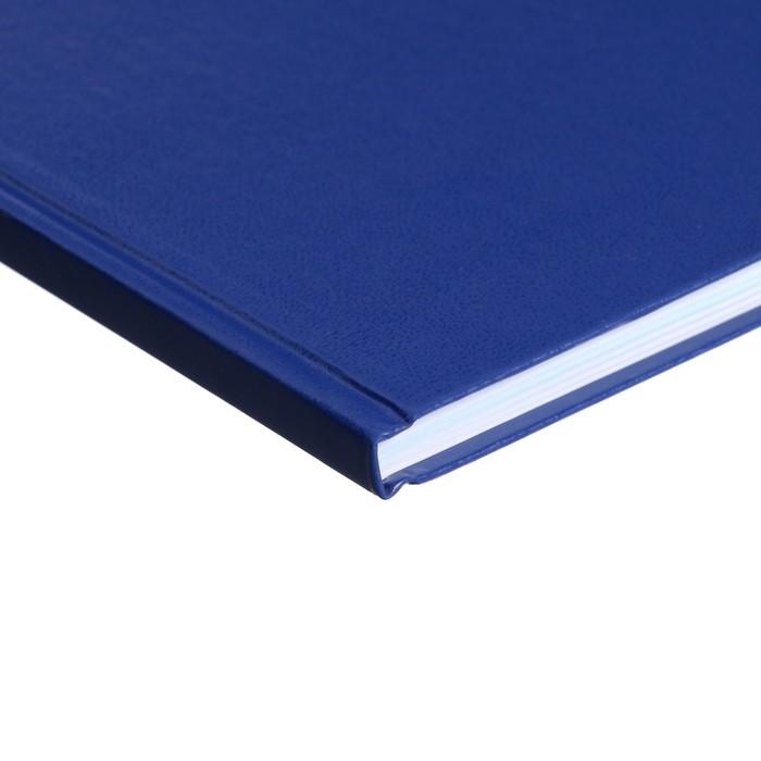 Книга учета, 96 листов, обложка бумвинил, блок ОФСЕТ, линия, цвет синий