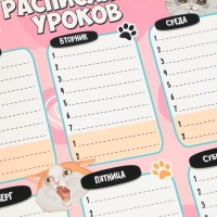 Расписание уроков «Милые кошечки» А4, многоразовое магнитное с маркером Расписание уроков «Милые кошечки» А4, многоразовое магнитное с маркером