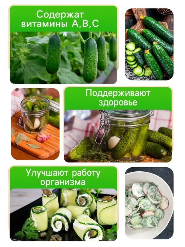 Семена Огурец "Засолочный", 0,5 г