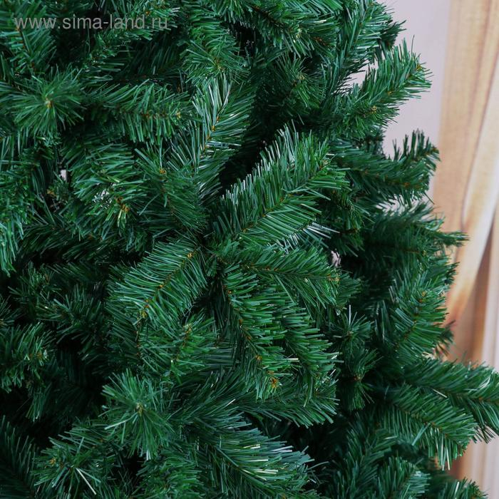 Ель Голубая 300 см d нижнего яруса 145 см 2800 веток