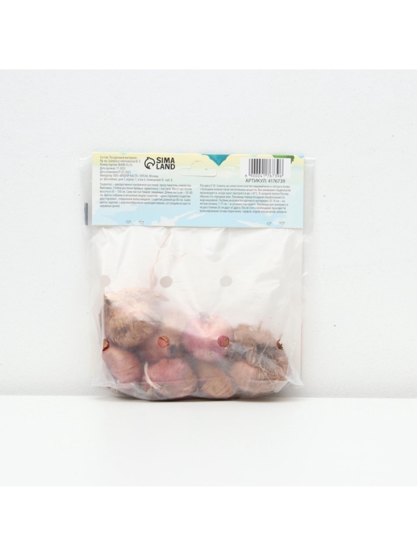 Гладиолус примуловидный &laquo;Атом&raquo;, луковица цветов в пакете с перфорацией, р-р 10+, 7 шт.