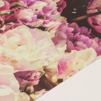 Фотофон двусторонний картон плотность 350 гр "Цветы" 50х50 см Фотофон двусторонний картон плотность 350 гр "Цветы" 50х50 см