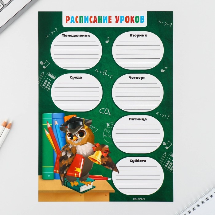 Подарочный набор на выпускной в папке 7 предметов &laquo;Набор выпускника&raquo;