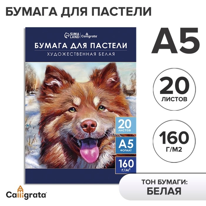 Бумага для пастели А5, 20 листов Бумага для пастели А5, 20 листов "Собака", блок 160 г/м2, в папке