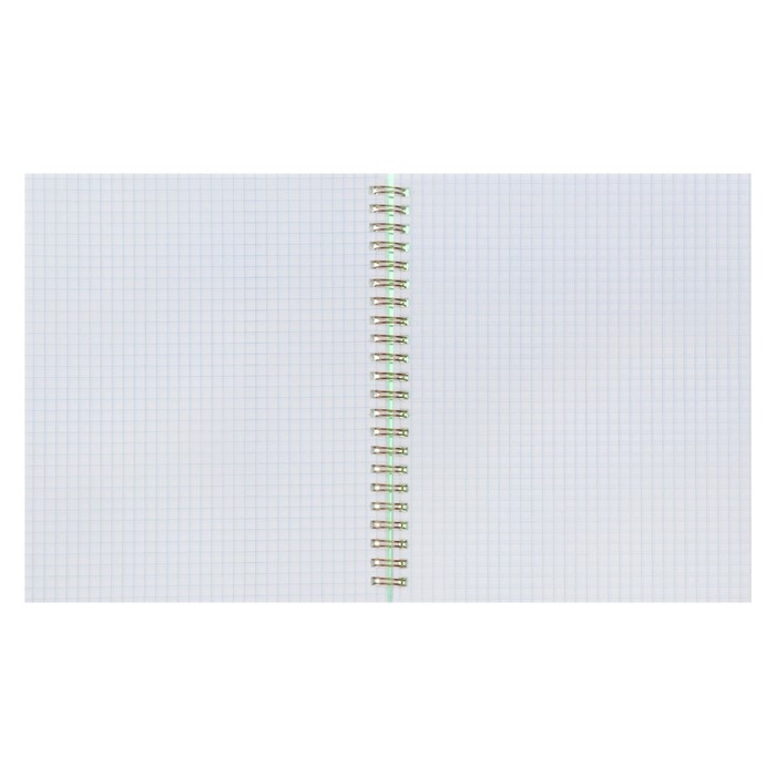 Тетрадь на гребне A5 96 листов в клетку Calligrata Зелёная, пластиковая обложка, блок офсет